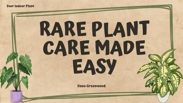 Rare Plant Care Made Easy