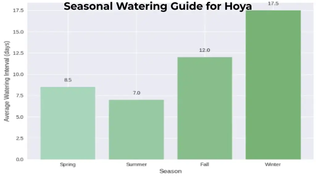 Seasonal watering guide for Hoya