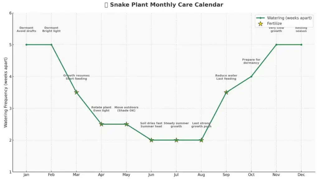 Snake plant care schedule infographic with monthly Sansevieria care tips including watering frequency, fertilizing guide, and seasonal houseplant maintenance calendar