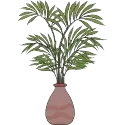 YOUR INDOOR PLANT
