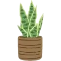 YOUR INDOOR PLANT