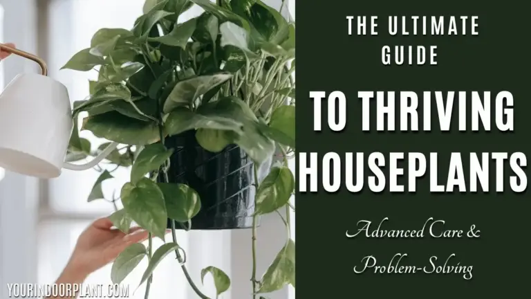 Advanced Houseplant Care