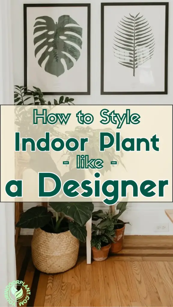 How to Style Indoor Plants Like a Designer 1 1 1