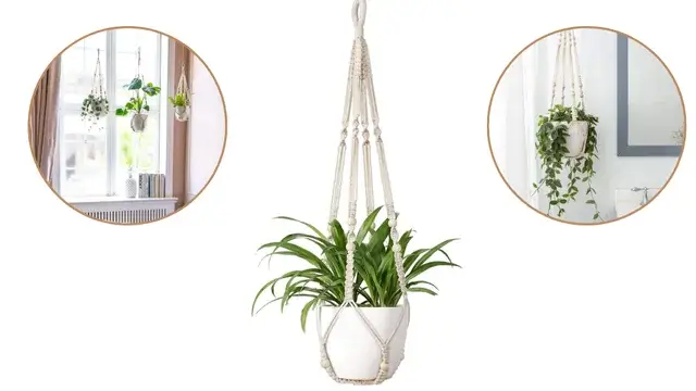 Macramé Hanging Planter