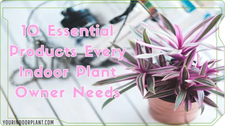 10 Essential Products Every Indoor Plant Owner Needs
