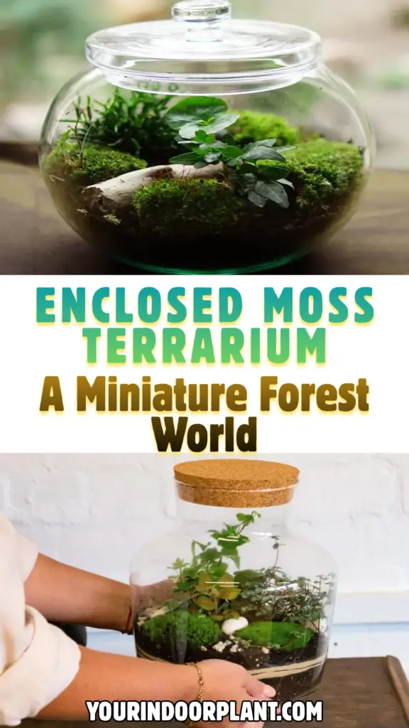 7 Indoor Garden Styles That Transport You to a Private Oasis 5 Enclosed Moss Terrarium 1