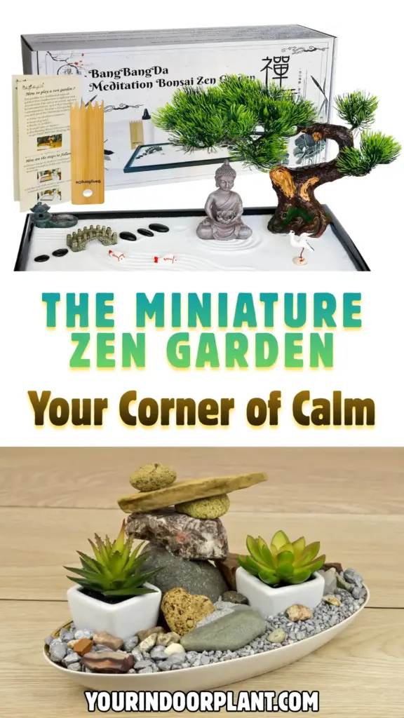 7 Indoor Garden Styles That Transport You to a Private Oasis 4 The Miniature Zen Garden 1