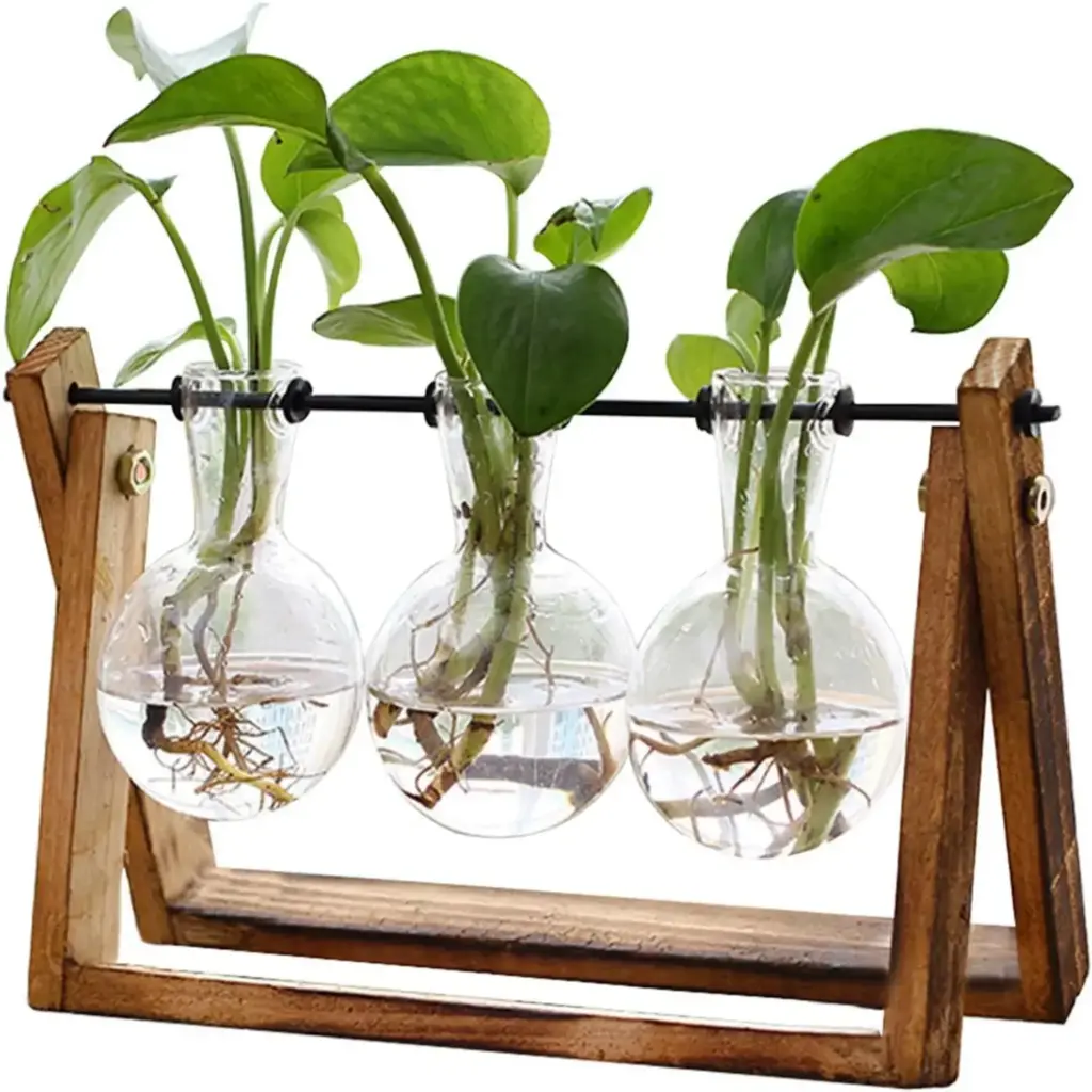 wooden plant terrarium 1