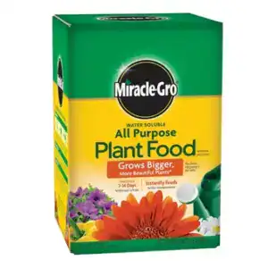 Best Fertilizer for Snake Plants: My Top Picks for Strong, Upright Growth 3 Miracle Gro Indoor Plant Food1