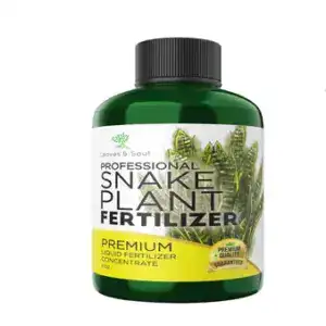 Best Fertilizer for Snake Plants: My Top Picks for Strong, Upright Growth 2 Professional Liquid Snake Plant Fertilizer1