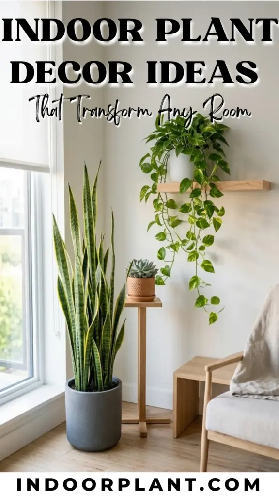 Indoor Plant Decor Ideas