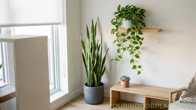 Decorate Small Spaces Vertically